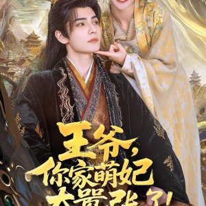 Wang Ye, Ni Jia Meng Fei Tai Xiao Zhang Le! ()
