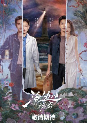 Secrets by the Sea () poster