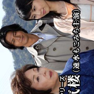 Asami Mitsuhiko Series 33 (2013)