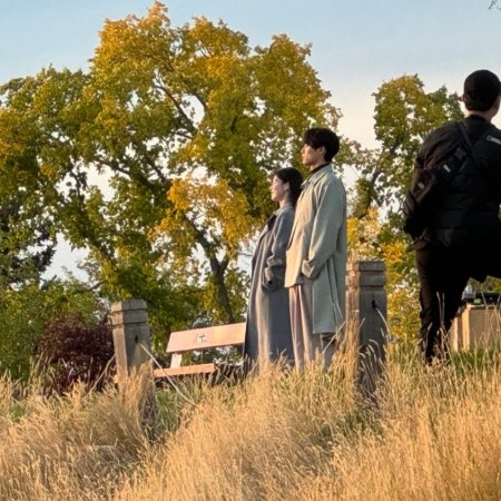 Can This Love Be Translated? (2026)