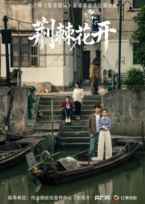 Jing Ji Hua Kai (0000) poster