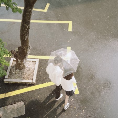 Sunshine through the Rain ()