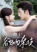 Yu Wen Sang Zhi Chinese Drama(2025) photo