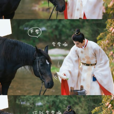 Shadows of Desire ()