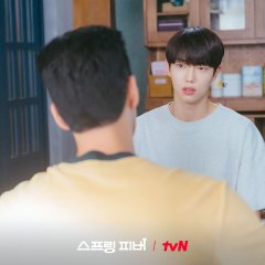 Spring Fever Korean Drama(2026) photo