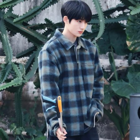 Sunshine through the Rain ()