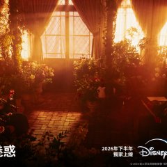 Portraits of Delusion Korean Drama(2026) photo