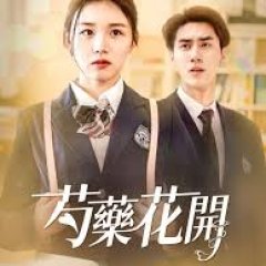 Shao Yao Hua Kai Chinese Drama(2024) photo