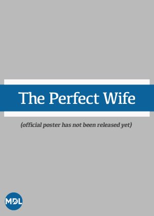 The Perfect Wife (2026) poster