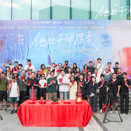 Gentler than a Bullet (2025)