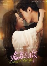 Destined to Like You Chinese Drama(2025) photo