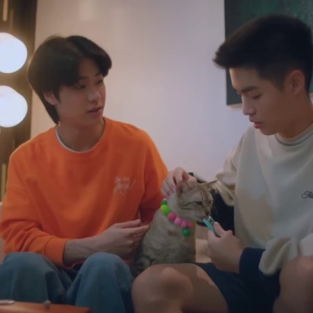 Boys in Love (2025)