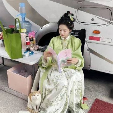 Liang Chen Mei Jin ()