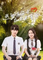 Love through Time Chinese Drama(2025) photo