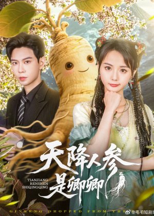 Ginseng Dropped from the Sky (2025) poster
