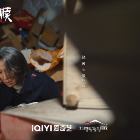 The Perfect Suspect (2025)