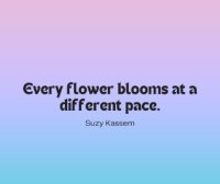 Quote of the day