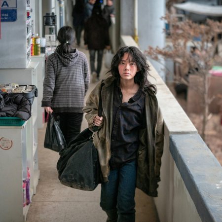 Concrete Market (2025)