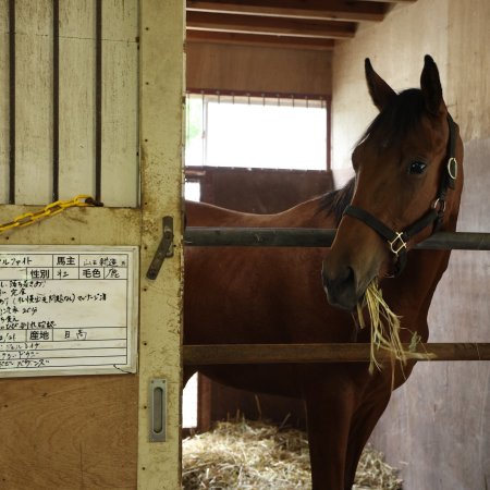 Passing the Reins (2025)