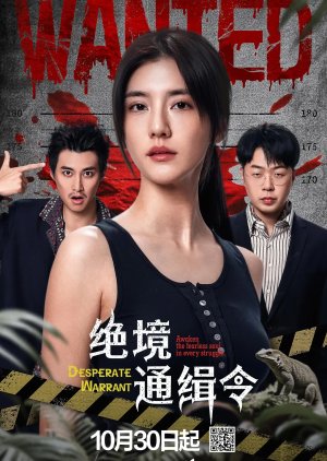 Desperate Warrant poster