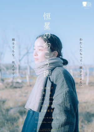 Echoes of Motherhood (2025) poster