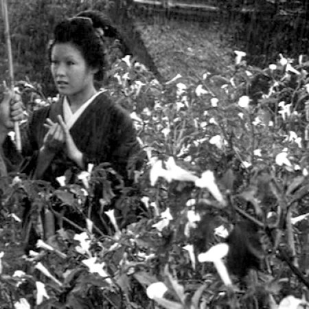The Wife of Seishu Hanaoka (1967)