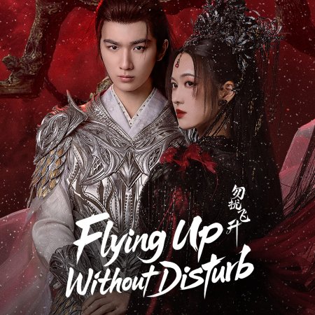 Flying up without Disturb (2025)