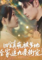 Si Bao Zhen Meng, Bei Die Di Quan Jia Zhui Jiu Tiao Jie Chong Chinese Drama(2025) photo