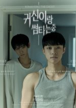 Romancing the Ghost Korean Drama(2025) photo