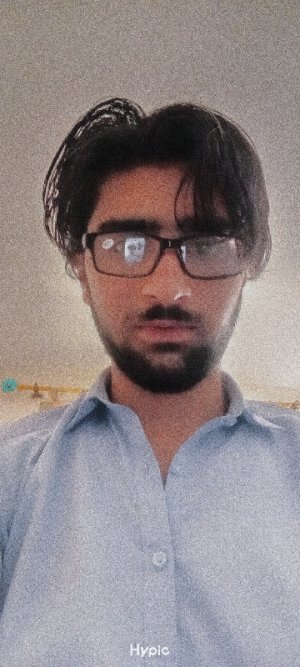 Haider Alee