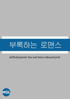 Addendum Romance () poster