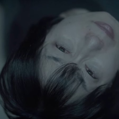 The Widow (2018)