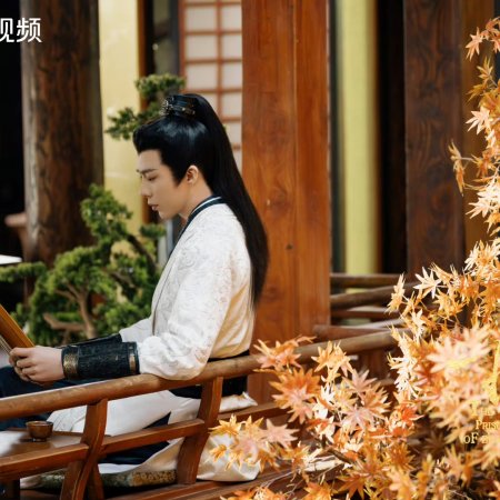 The Prisoner of Beauty (2025)
