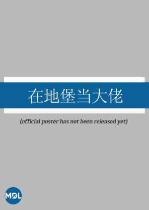 Zai Di Bao Dang Da Lao poster