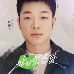 Fei Ri Chang Lian Ai Chinese TV Program photo