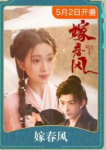 Get Married Chinese Drama(2025) photo