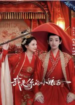 Wo Shi Ni De Xiao Niang Zi