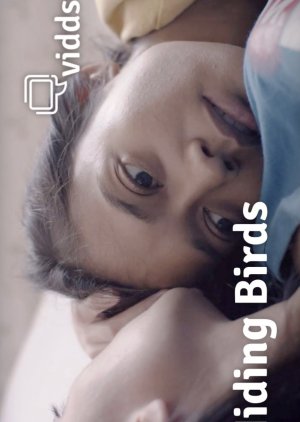 Hiding Birds (2018) poster
