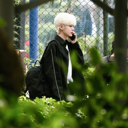 The Warmth in the Dark ()