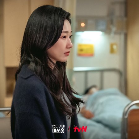 Undercover Miss Hong (2026)