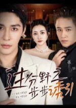 Lure Step by Step Chinese Drama photo