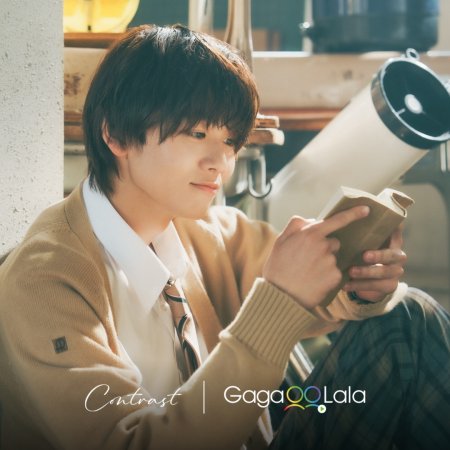 Contrast (2026)