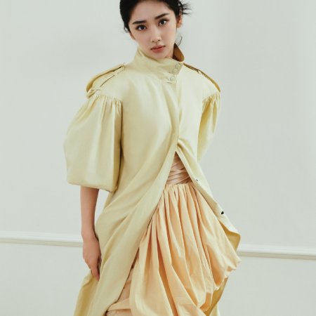Wang Ying Lu