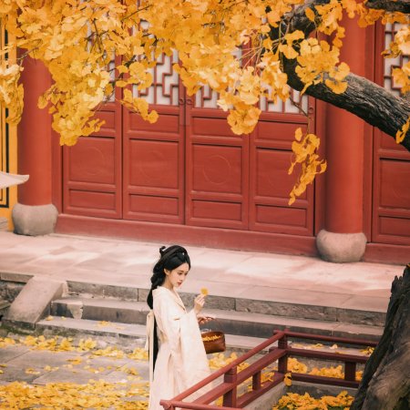 Meng Zi Yi