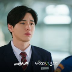 A Dog and a Plane Thai Drama photo