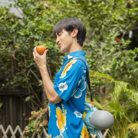 When Oranges Fall Behind the Scenes (2026)