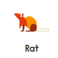Rat – (Birth year: 2008, 1996, 1984, 1972,1960) : Quick-witted, resourceful, curious, and clever