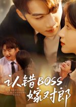 Marrying a Handsome Boss Chinese Drama(2025) photo