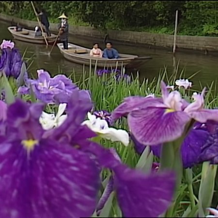 Mio Tsukushi (1985)