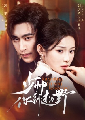 Shao Shuai Ni Bie Guo Fen Ye (2025) poster
